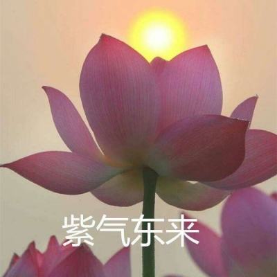 原油又飙了！特朗普TACO“缓兵之计”失效？